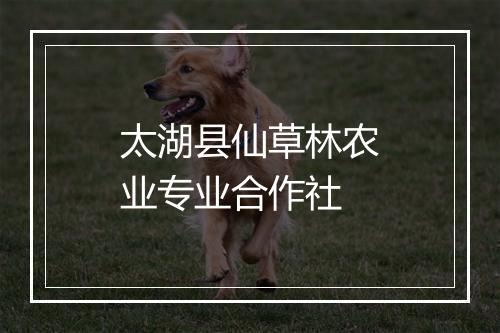 太湖县仙草林农业专业合作社