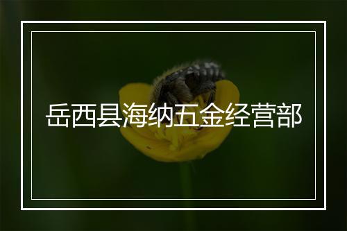 岳西县海纳五金经营部