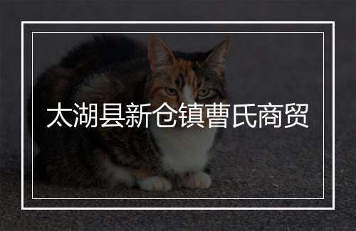 太湖县新仓镇曹氏商贸