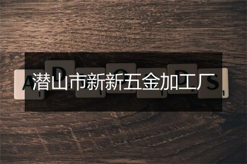 潜山市新新五金加工厂