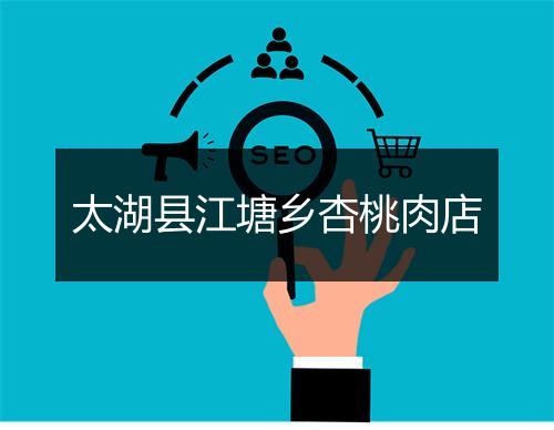 太湖县江塘乡杏桃肉店