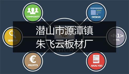 潜山市源潭镇朱飞云板材厂