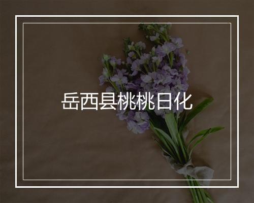 岳西县桃桃日化