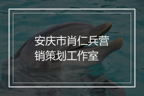 安庆市肖仁兵营销策划工作室
