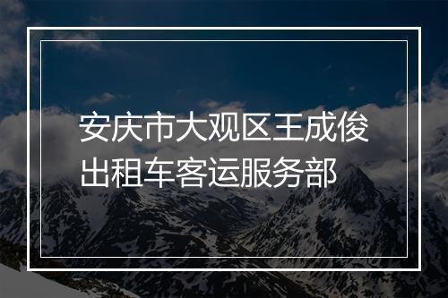 安庆市大观区王成俊出租车客运服务部