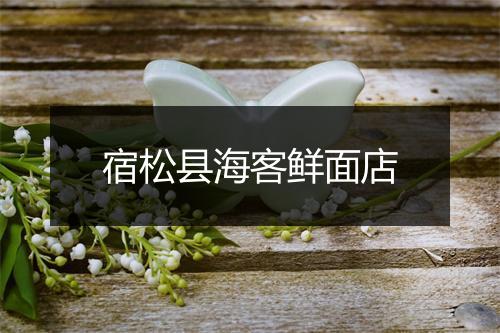 宿松县海客鲜面店