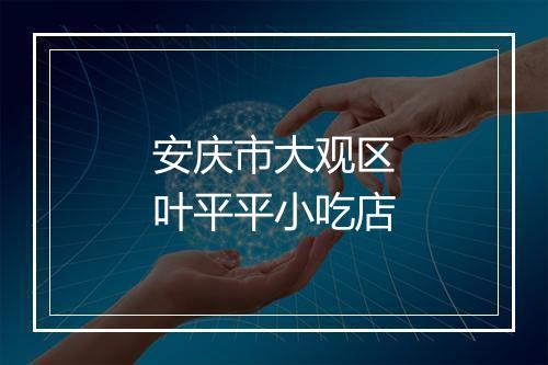 安庆市大观区叶平平小吃店