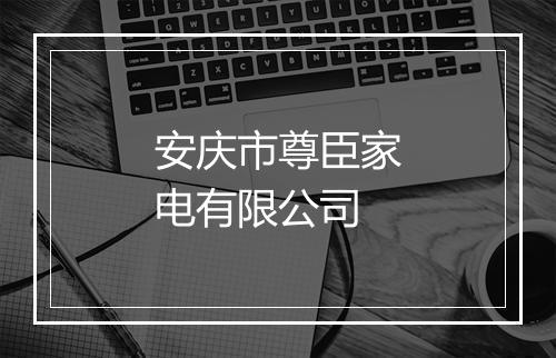 安庆市尊臣家电有限公司