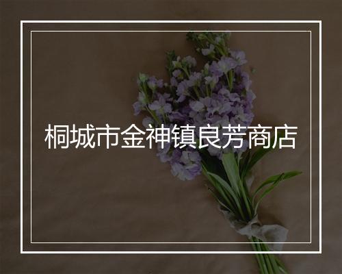 桐城市金神镇良芳商店