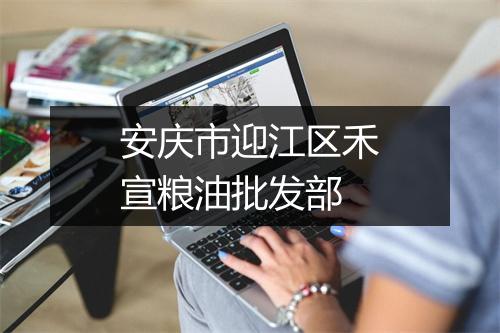 安庆市迎江区禾宣粮油批发部