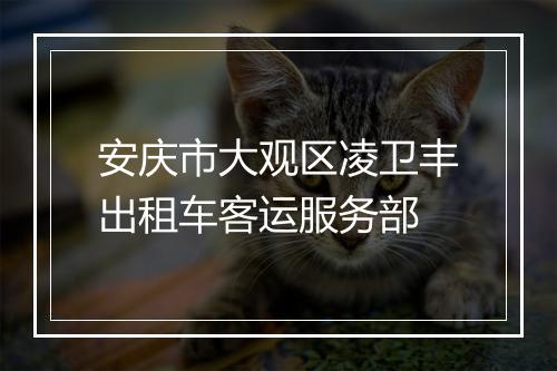 安庆市大观区凌卫丰出租车客运服务部