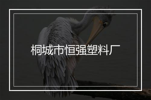 桐城市恒强塑料厂