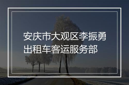 安庆市大观区李振勇出租车客运服务部