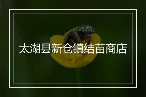 太湖县新仓镇结苗商店