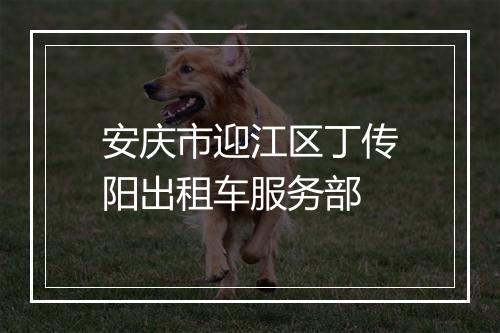 安庆市迎江区丁传阳出租车服务部