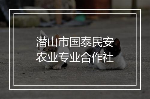 潜山市国泰民安农业专业合作社