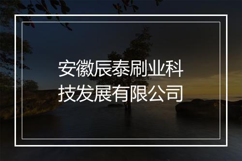 安徽辰泰刷业科技发展有限公司