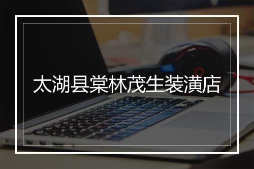 太湖县棠林茂生装潢店