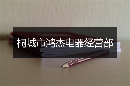 桐城市鸿杰电器经营部