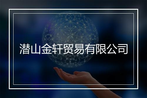 潜山金轩贸易有限公司