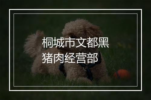 桐城市文都黑猪肉经营部