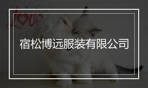 宿松博远服装有限公司