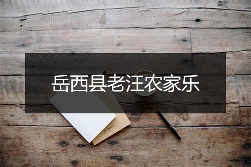 岳西县老汪农家乐