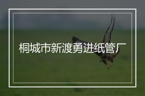 桐城市新渡勇进纸管厂