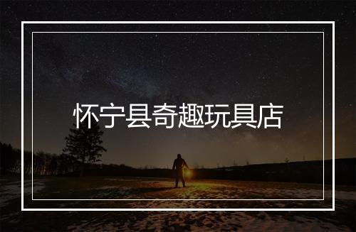 怀宁县奇趣玩具店
