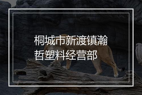 桐城市新渡镇瀚哲塑料经营部