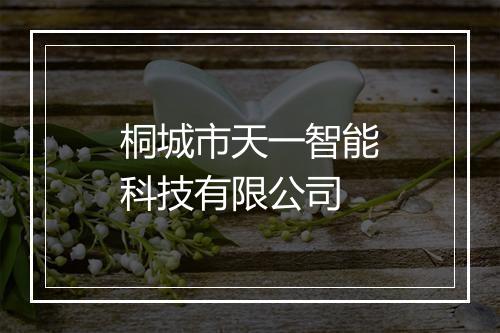 桐城市天一智能科技有限公司