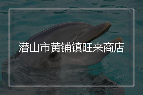 潜山市黄铺镇旺来商店