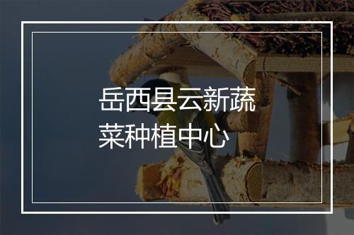 岳西县云新蔬菜种植中心