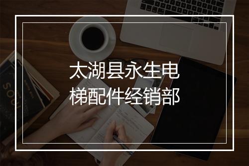 太湖县永生电梯配件经销部
