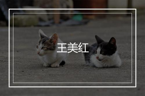 王美红