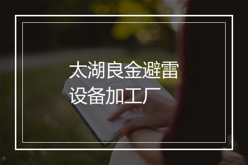 太湖良金避雷设备加工厂