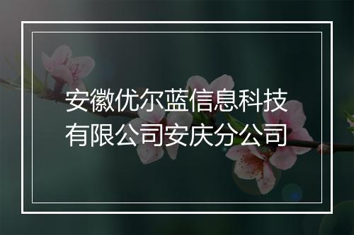 安徽优尔蓝信息科技有限公司安庆分公司
