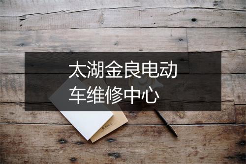 太湖金良电动车维修中心