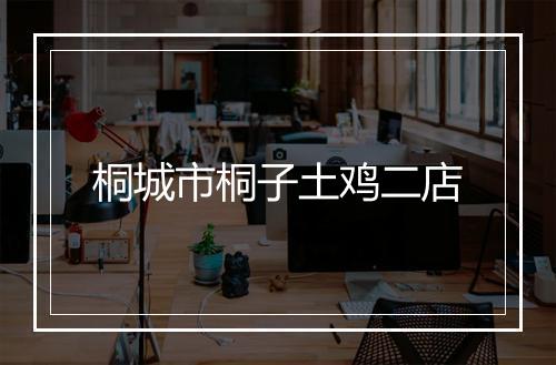 桐城市桐子土鸡二店