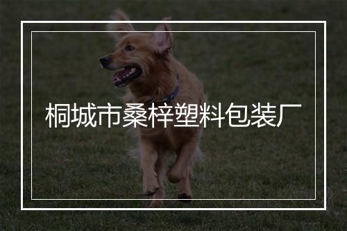 桐城市桑梓塑料包装厂