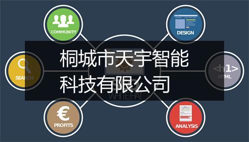 桐城市天宇智能科技有限公司