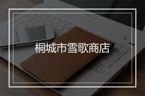 桐城市雪歌商店