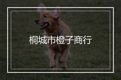 桐城市橙子商行