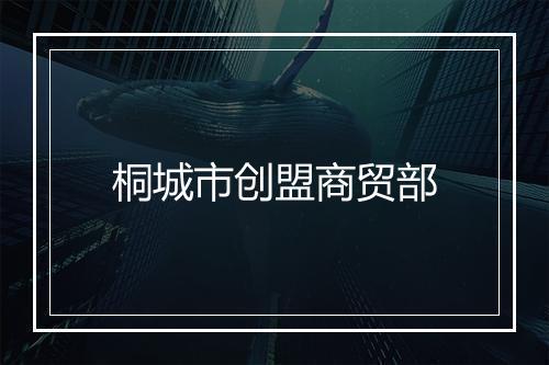 桐城市创盟商贸部