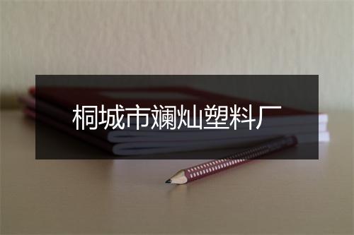 桐城市斓灿塑料厂