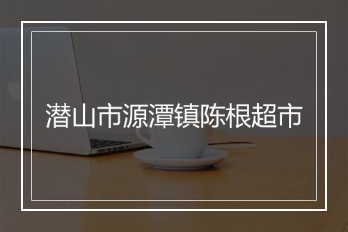 潜山市源潭镇陈根超市