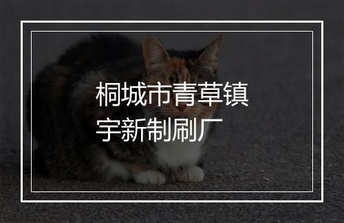 桐城市青草镇宇新制刷厂