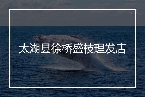 太湖县徐桥盛枝理发店