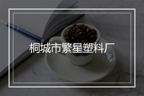 桐城市繁星塑料厂