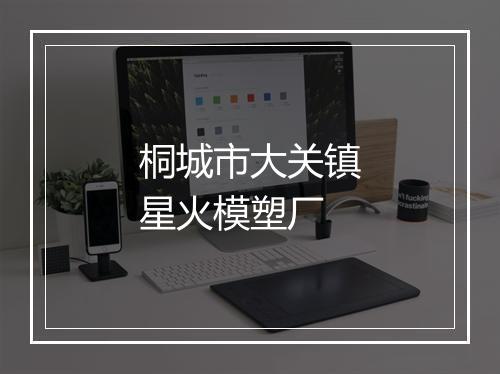 桐城市大关镇星火模塑厂